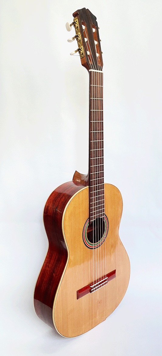 El Palestine classical guitar