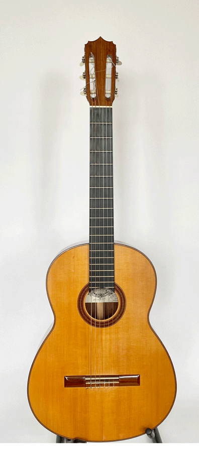 Van der Waals Classic Guitar 1966